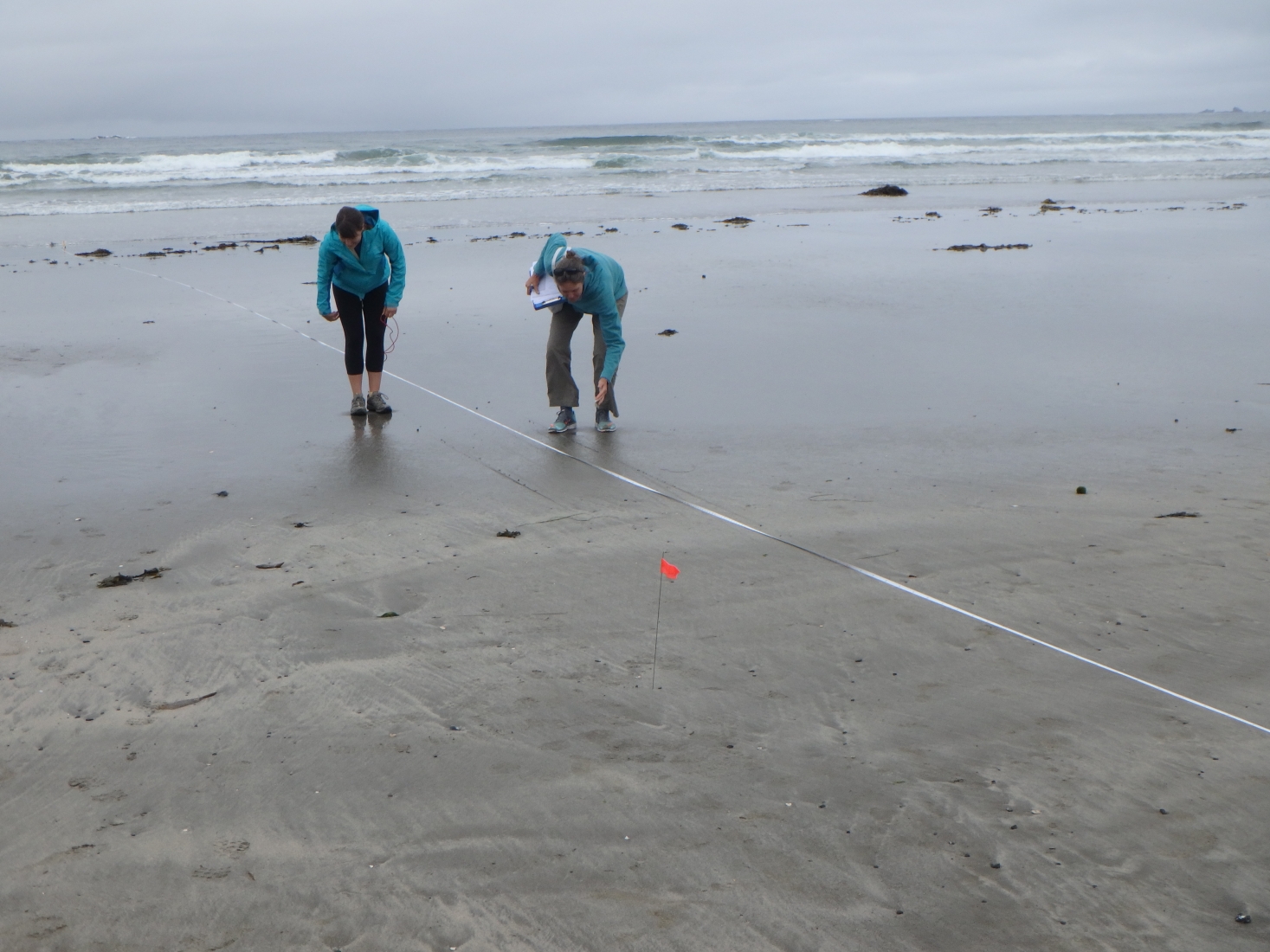 The Results Are In For The Status Of Marine Debris On U.S. Shorelines ...